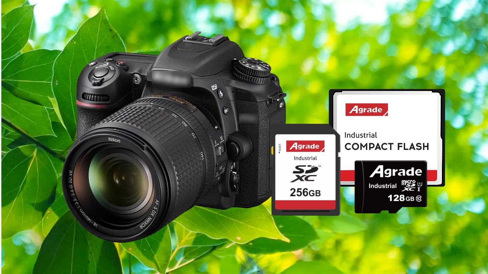 春天，單反會飛！